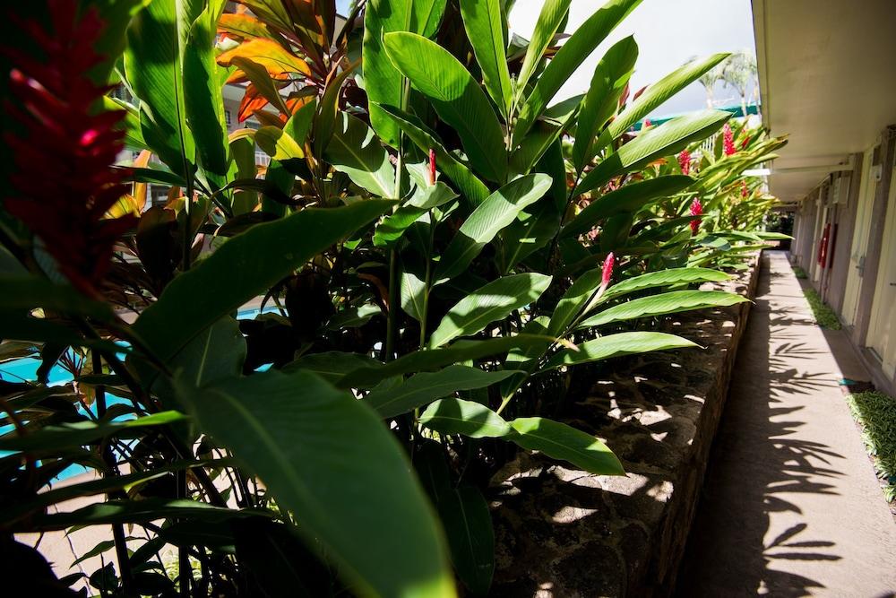 Pacific Marina Inn Airport Honolulu Zewnętrze zdjęcie